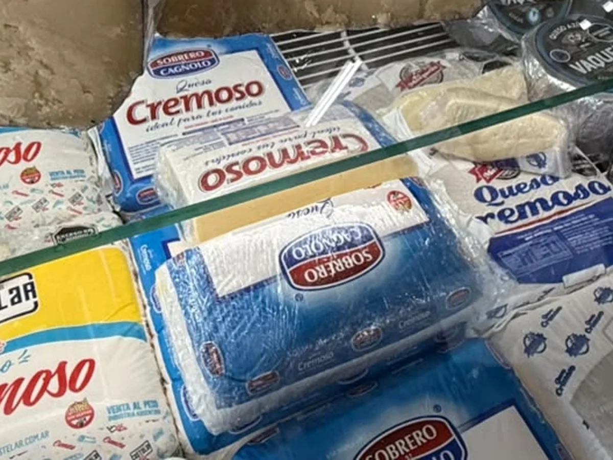 Variedad de quesos cremosos mayoristas
